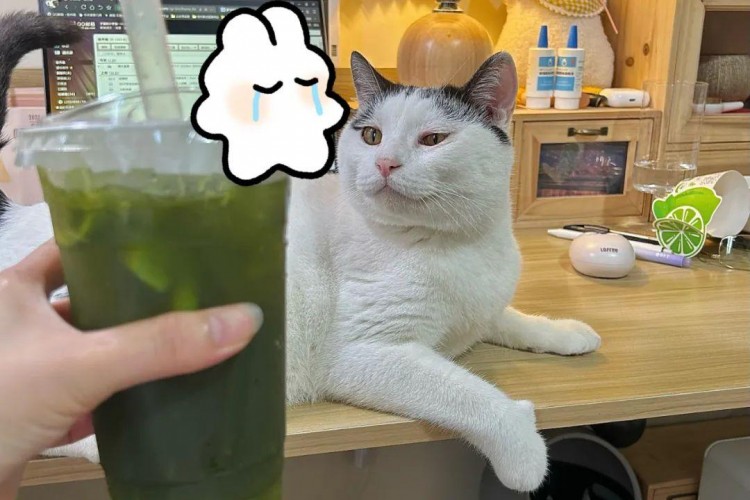 小红书被关进小黑屋含泪总结出3条避坑指南！